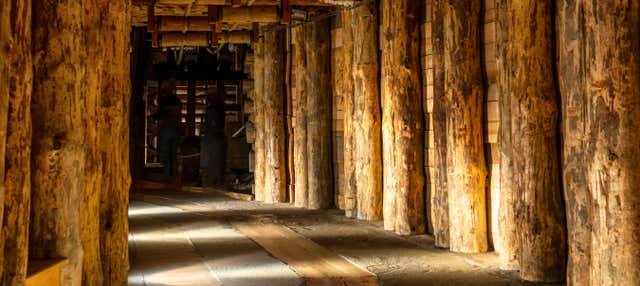 Excursion à la Mine de Sel de Wieliczka