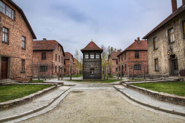 Excursion privée à Auschwitz et à la mine de sel de Wieliczka