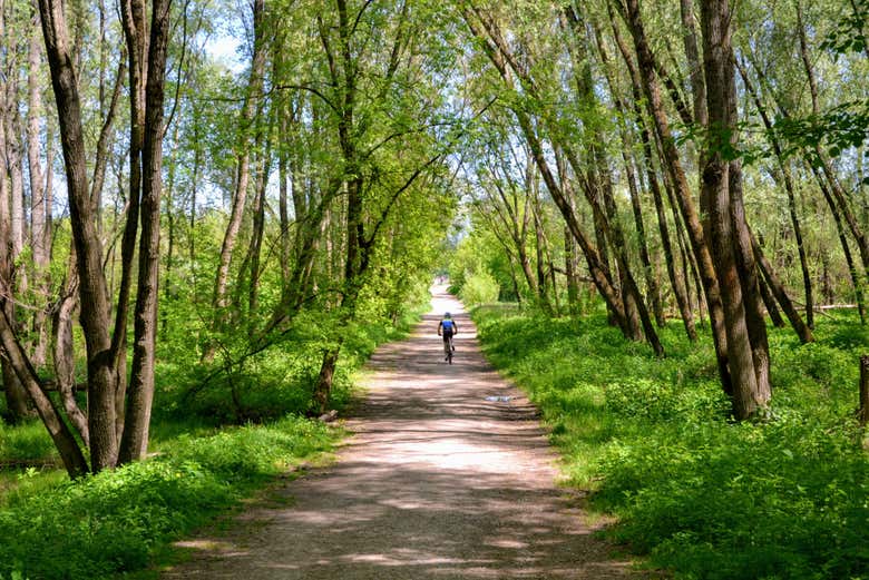 Parcourez les alentours de Cracovie à vélo