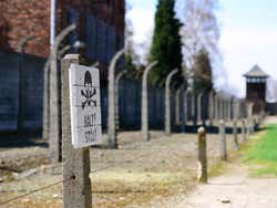 Auschwitz, halte !