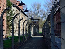 Auschwitz, barbelé et tour de contrôle