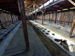 Birkenau, latrines