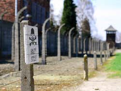 Auschwitz, fil de fer barbelé