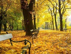 Cracovie en automne
