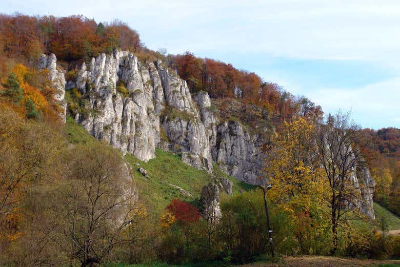 Profitez de l'excursion dans le Parc national d'Ojców.